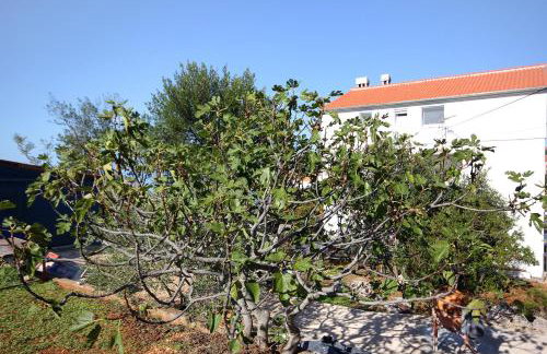 Apartments by the sea Lukoran (Ugljan) - 836 - Foto 38