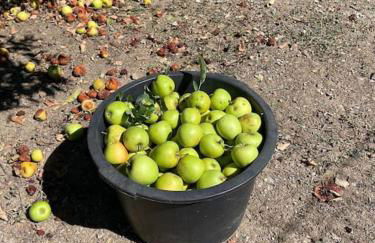 Casa da Fiteira - Foto 12