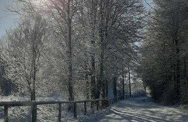 Marcinowa Zagroda - Foto 22