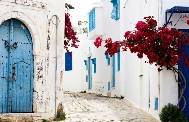 Cosy S3 At Sidi Bou Said Village - Foto 20