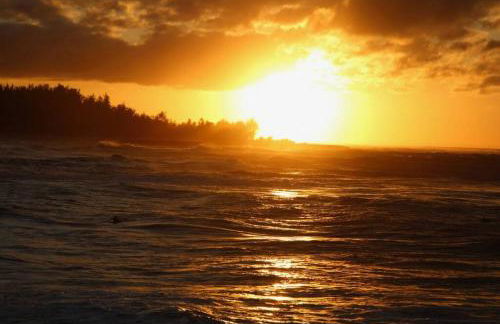 Location Location, By golf and beach - Foto 19