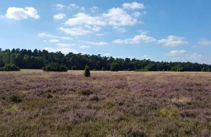 Hans-Eidig - Foto 22