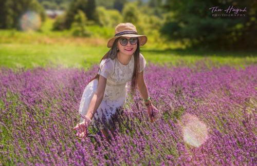 LeFay Cottage at Little Washington - Foto 5