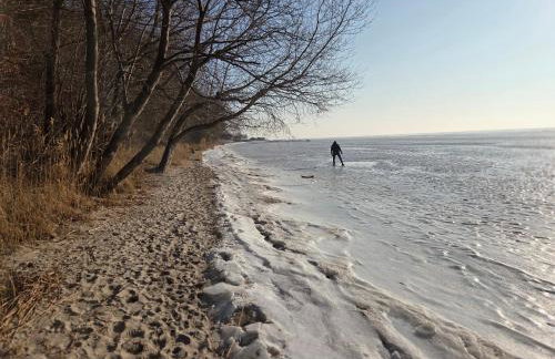 Ferienhaus Hendrikje - Foto 32