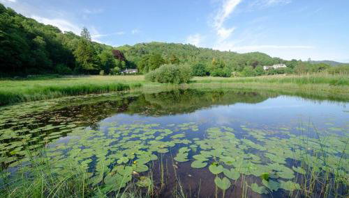 The Nest, Clappersgate, Ambleside - Foto 2, Other