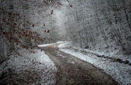 Ιξός Home - Photo 64