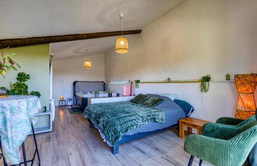 Chambre spa privé Arles campagne - Foto 5