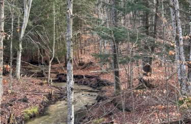 New, Spacious and charming, with a river view, conveniently located near skiing and golf - Foto 37