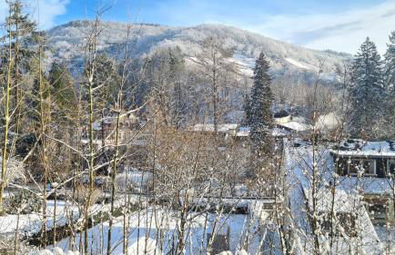 Waldhaus zum gechillten Hirsch in der Natur, bei der Moseltherme Traben-Trarbach - Foto 47