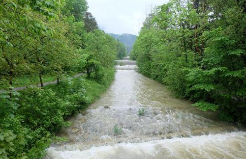 Am Jenbach - Foto 39