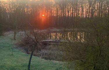 Altmarkblick - Foto 19