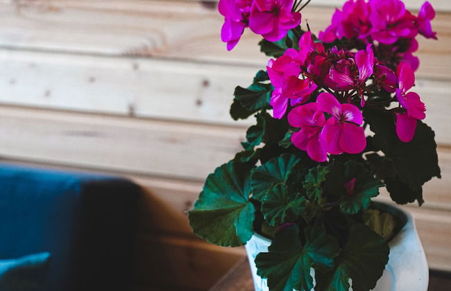 Traveler's Cottage in Kazbegi - Foto 25