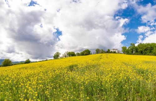 Apartments in Barberino di Mugello 23852 - Photo 9
