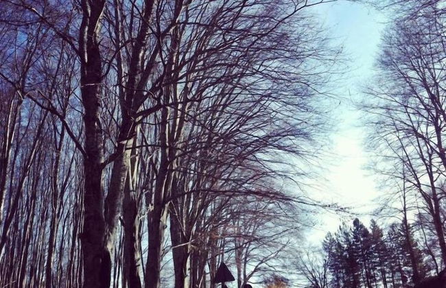 B&B da Ronald...a Pian del Papa - Foto 19