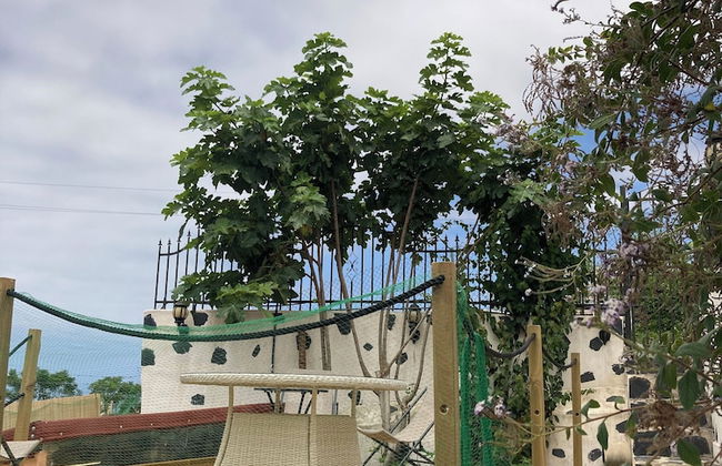 Gato Azul Coliving - Foto 58