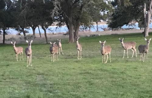 Paradise at Canyon Lake - Foto 26