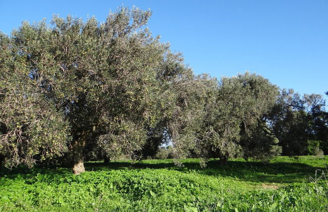 Residence Stern - Foto 43