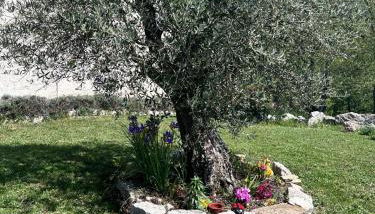 Residence San Martino - Foto 3, Garden