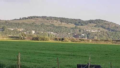 Sunnyside Farm - Foto 5