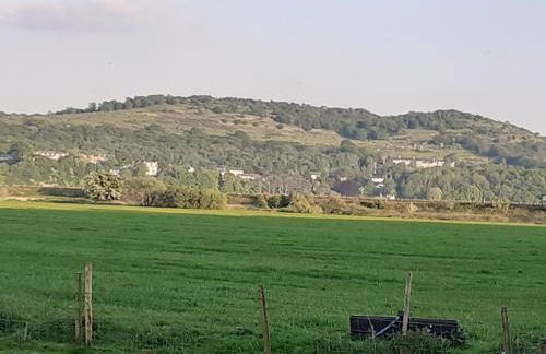 Sunnyside Farm - Foto 5