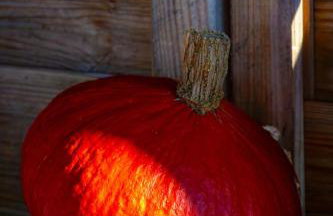 DOMEK NIEBIESKI W BESKIDZIE MAŁYM - Foto 27