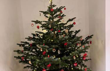 Ferienwohnung mit Garten in Meyenburg - KEINE MONTEURE - Foto 15