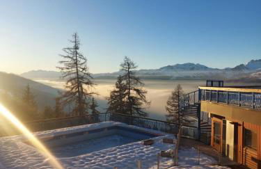 RESIDENCE LE RUITOR Duplex dernier étage vue panoramique classé 4 Cristaux Paradiski - Foto 68