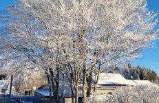 Ferienwohnung Niels im Hause Bergland Altreichenau - Foto 32