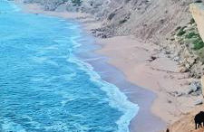 Casa do Portão Azul - Espadarte - Foto 61