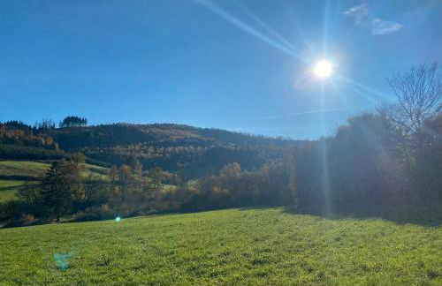 Glückshuuske Sauerland - Foto 14