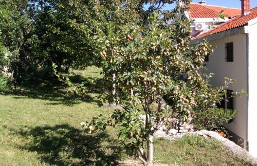 Apartmani Mujagic - Photo 18