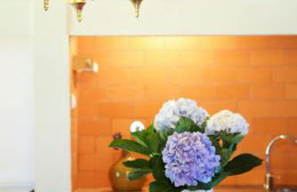 Aldeia das Cagarras - Photo 46