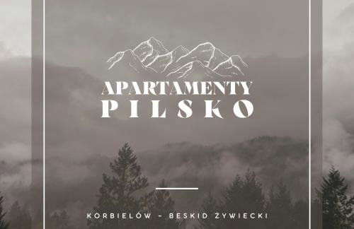 Apartamenty Pilsko Korbielów komfortowe mieszkania dla rodzin i narciarzy w Beskidach - Foto 24