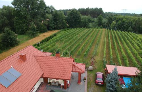 Agroturystyka ROGALA - Foto 35