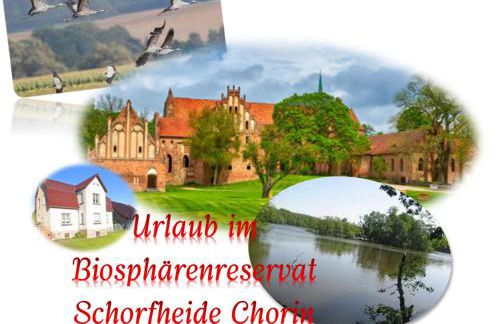 Ferienhaus Naturpur Chorin - Foto 3