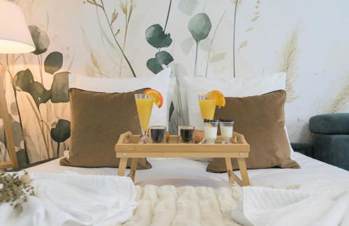 La petite noblesse - Grand appart de charme - Vidéoprojecteur & Netflix - Foto 14