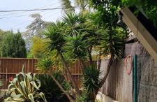 Maison de bord de mer ,Hyères, 3 chambres, jardin, calme - Foto 23