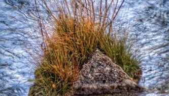 Apartamentos El Pajar del Abuelo - Foto 5