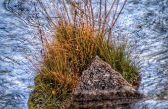 Apartamentos El Pajar del Abuelo - Foto 5