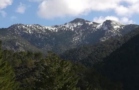 Casa Rural la Piedra del Cambrón - Foto 11