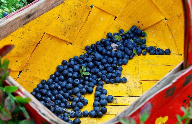 8 Person Holiday Home in Salen-by Traum - Foto 19