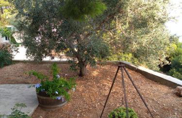 Apartments Elvira - Foto 53