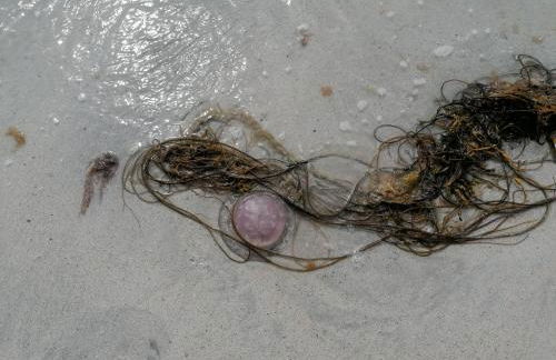 The Fisherman's Snug self catering North Uist - Foto 44