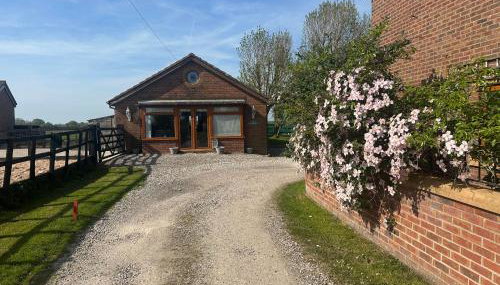 The Bungalow - Photo 4