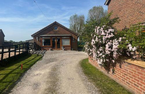 The Bungalow - Photo 4