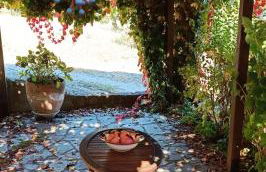 Homer's Guesthouse - Foto 24