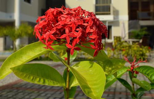 Residencial Portinari LTDA - Foto 53