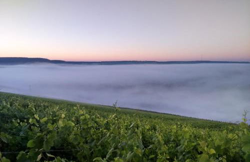 CHEZ MARGARET - Foto 18