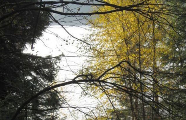 Cosy Apartment in Eibenstock - Foto 13