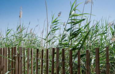 La Perle Rose Villa Standing 5 étoiles avec piscine jacuzzi et superbe vue - Foto 23